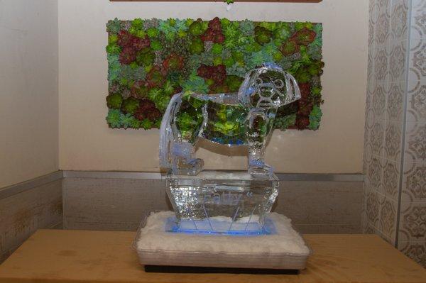 Ice sculpture