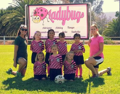 Supporting local girls youth soccer team, Team Ladybugs!