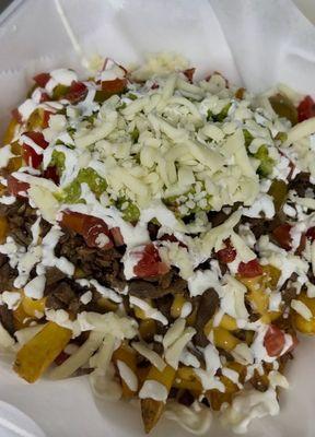 Carne Asada Fries( Loaded fries)