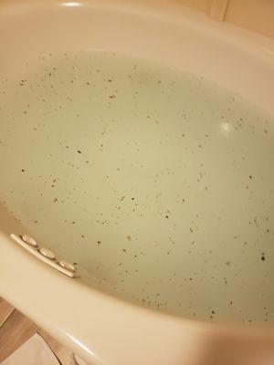 Would you like to bathe in that?