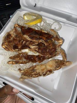 Soft Shell Crab Appetizer