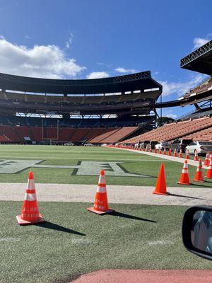 Waiting to drop off cats near the goal post