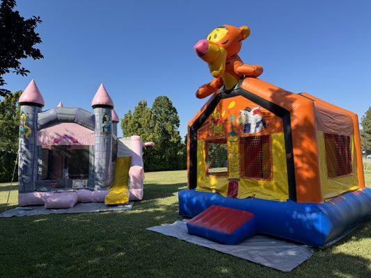 Bounce house rentals