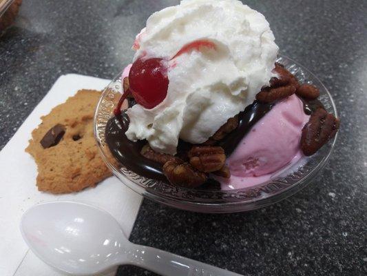 This one was especially pretty. Cherry Amaretto ice cream with hot fudge sauce and chocolate chip peanut butter cookie.