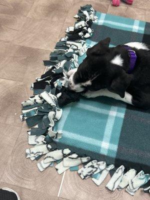 They provided toys for her on her first visit so that she wouldn't associate the vet with fear.