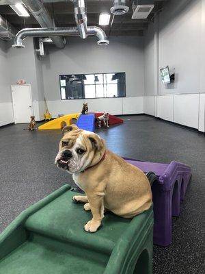 Hello! I am in a very comfortable indoor, climate controlled park