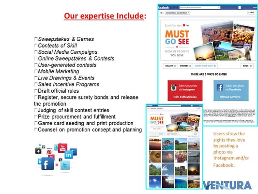 Ventura Associates International