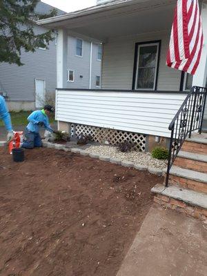 8. Planting the shrubs