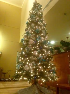 The 12 foot Christmas Tree is beautiful and the lobby decorated for the holidays with the fireplace going, cozy!!