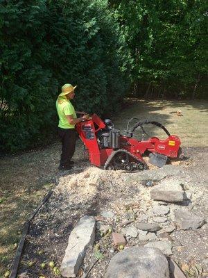 stump grinding