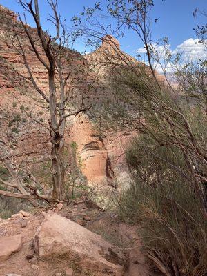 Petroglyphs.... Can you see them?