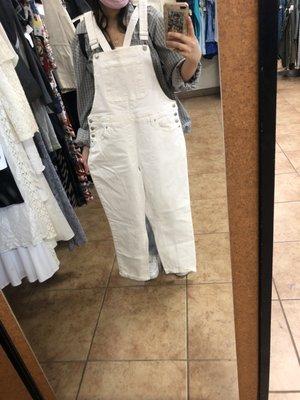 Stainless white overalls! ($14)