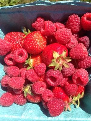 Strawberries and raspberries picked fresh!!