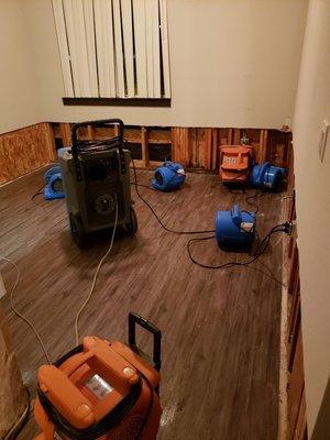 Water Damage Specialists