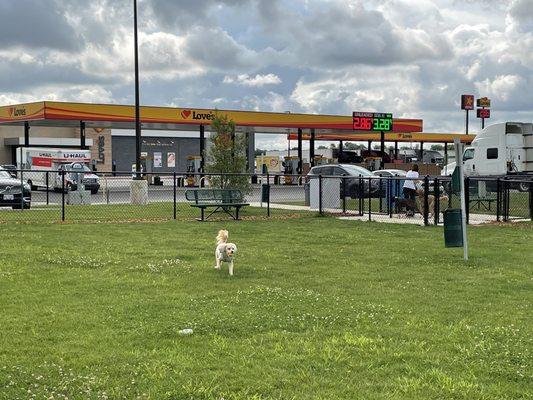 This is the most amazing idea ever! A dog park at a truckstop!!!!!