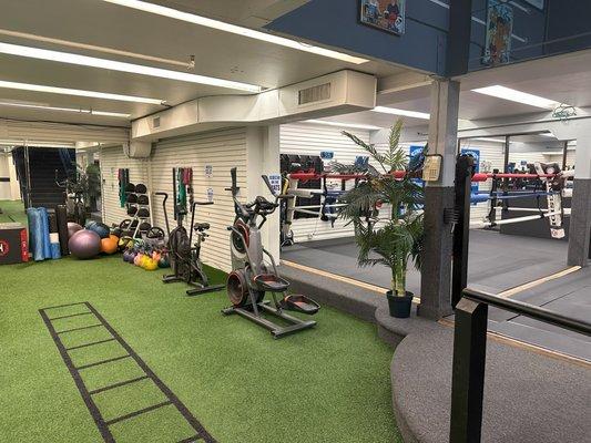 Boxing ring and workout area