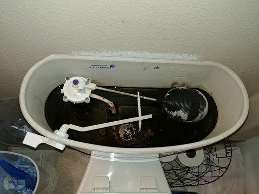 High magnesium levels in water supply will turn the porcelain on the toilet tank black