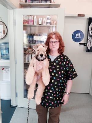 Nancy Han, Master Groomer, with Bo, a 16 week old wheaten terrier groomed to perfection! Amazing talent!