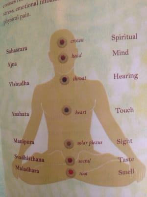 Chakra Balancing, Rose uses chakra stones. Helps get grounded & reconnect with the healing energy!