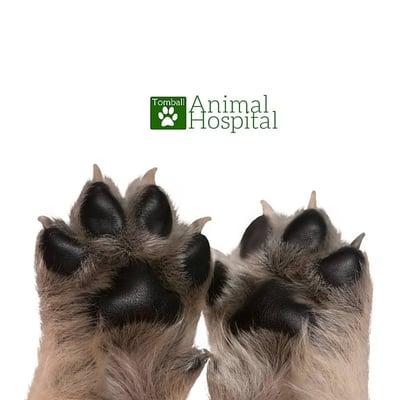 Tomball Animal Hospital