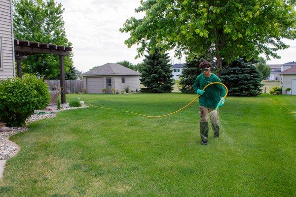 Here we have a team member spraying a lawn for their weed control and fertilizer application.