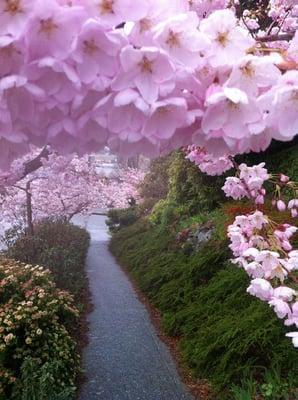 Walking through Magnolia, one of Seattle's most popular neighboorhoods