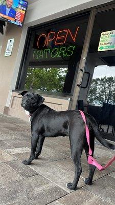 Dog friendly patio