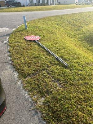 Fallen stop sign. Been like this for a month at least