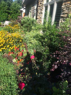 Front yard landscaping