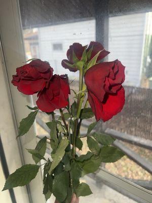 Jerry's Roses