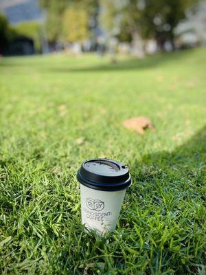 Oat Milk Capuccino at the park