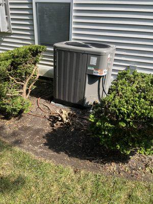 New Rheem A/C condenser. I removed shrubbery to prepare the site for the workmen.