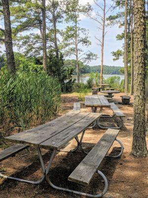 Picnic tables