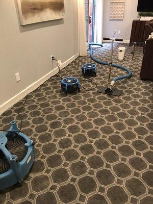 Small water leaks in your basement. Beehive can extract the water and clean the carpet.