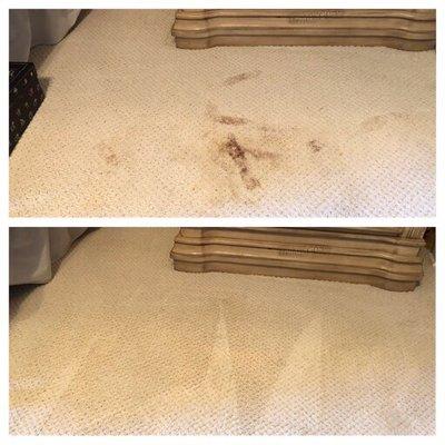 Real Clean Carpet Cleaning