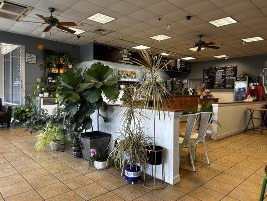 Entrance to the coffee bar with tons of plant life