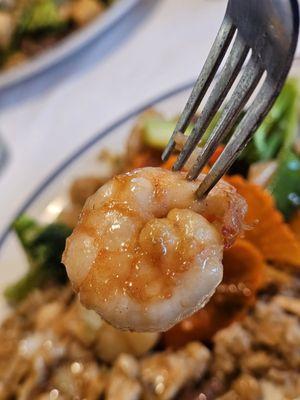 A fork holds a shrimp of the Happy Family from the Chef's Suggestion part of the menu.