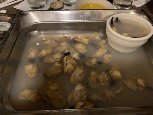 Steamers!!  Absolutely delicious.  No sand and a ton of clams.  Highly recommend.