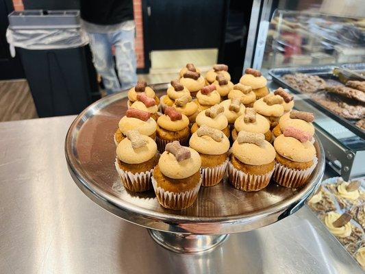 Doggie cup cakes