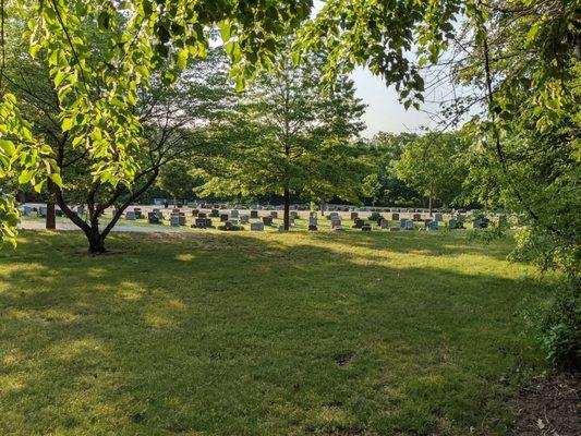 Mount Feake Cemetery, Waltham