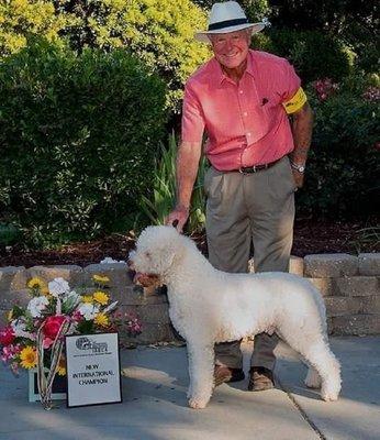 AKC Grand Bronze Champion: FEBO