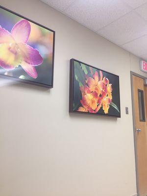 Lots of floral pictures around wAiting areas