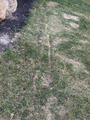 Again the dead grass and the ruined grass, trenches.