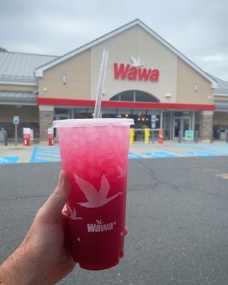 Iced Refreshers - Strawberry Dragonfruit