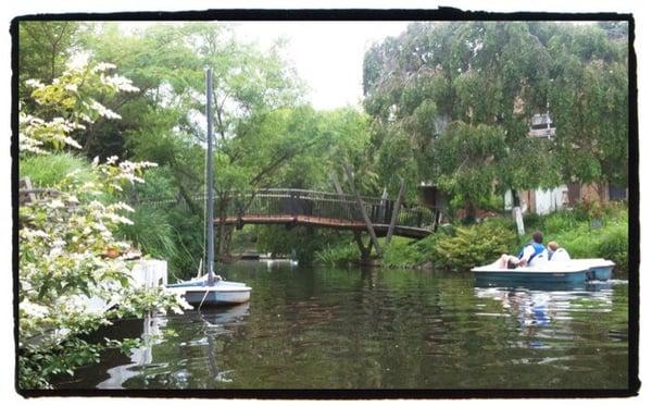 Renting paddle boats from the bookshop is the best way to spend an afternoon in Reston.