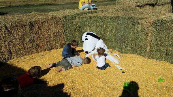 Snoopy in the corn