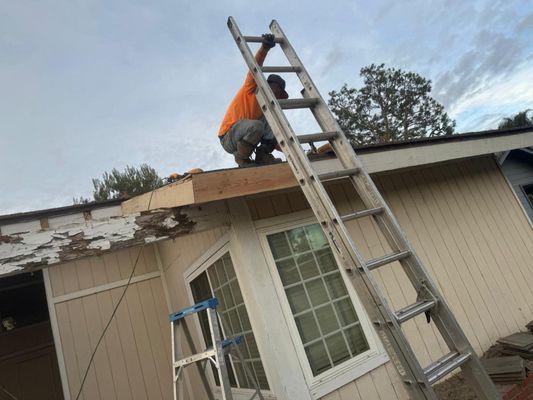 Solid Roofing