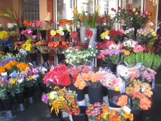 outdoor display - and still *more* flowers inside!!