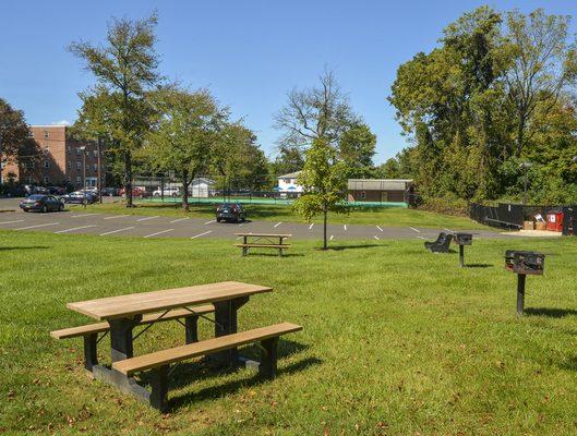 Barbecue And Picnic Area