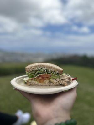 Turkey , Avocado , Tomato & Cheese Sandwich